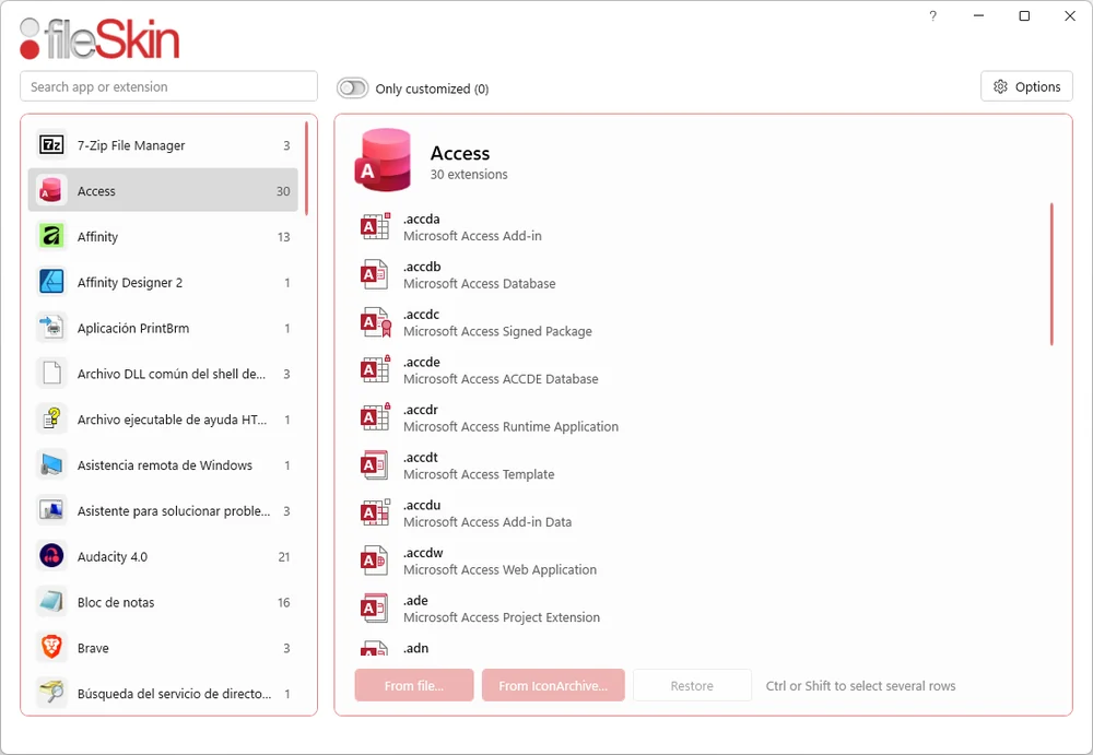 FileSkin — Main window